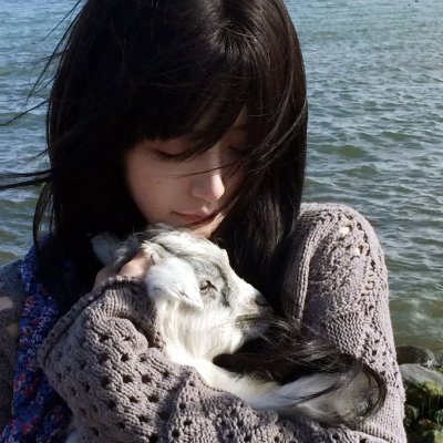 赞鸟历险记海报