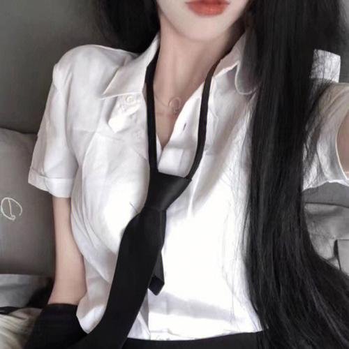 秘密间碟海报