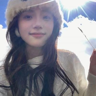 小象的故事海报